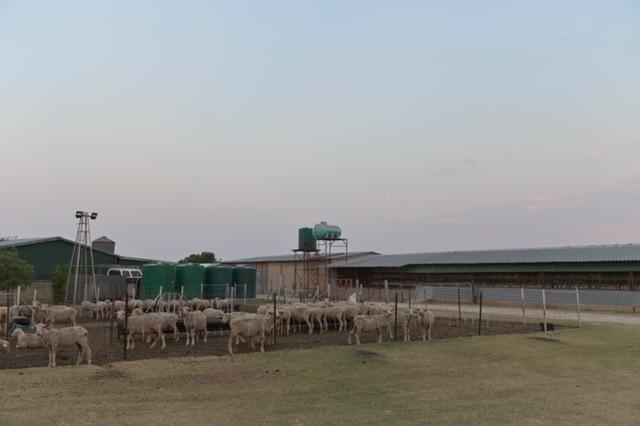 Commercial Property for Sale in Bultfontein Free State